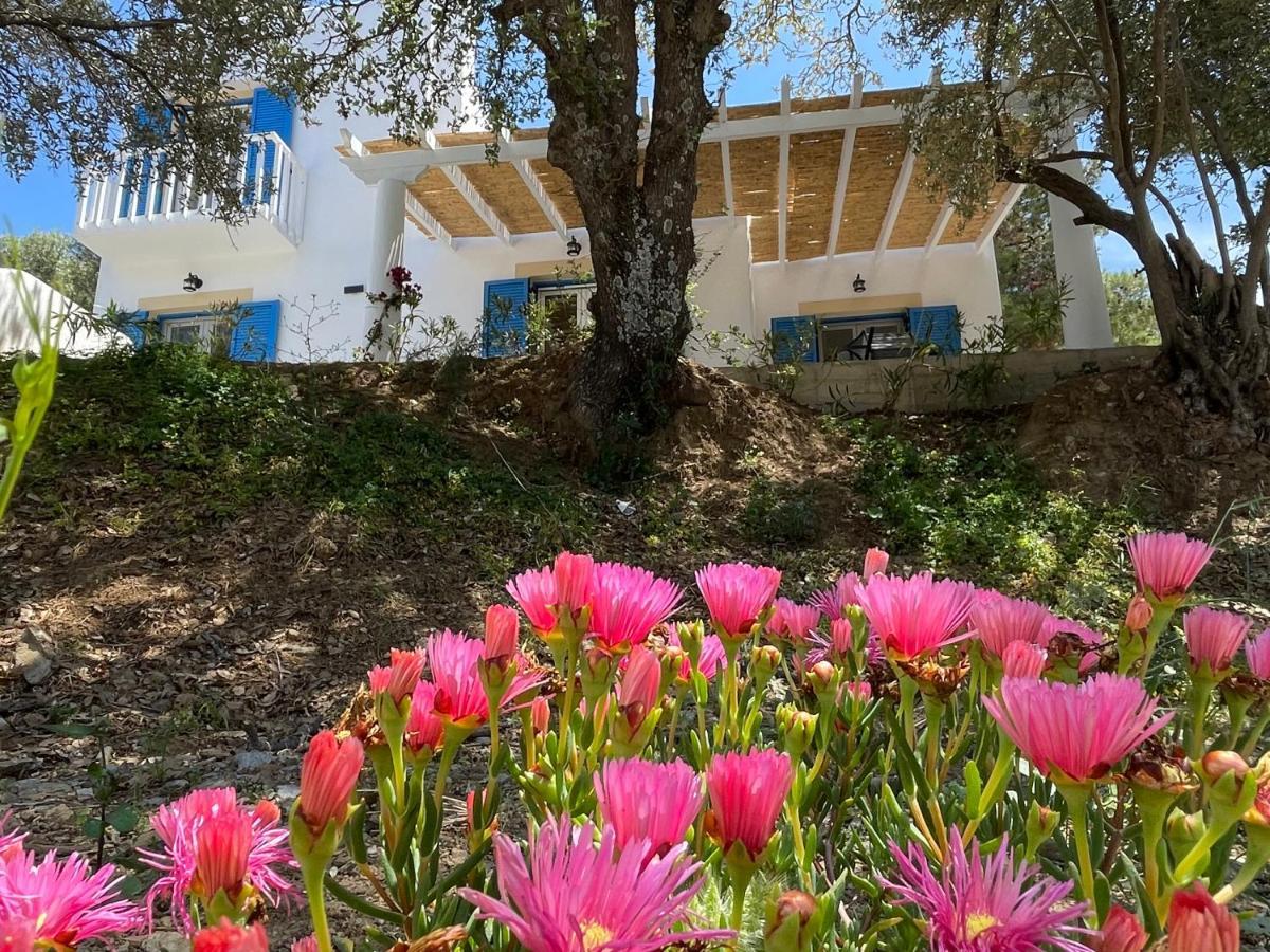 The Velanidies - Οι Βελανιδιές Agia Marina Exterior foto